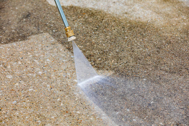 Best Sidewalk and Walkway Cleaning  in Miller Place, NY